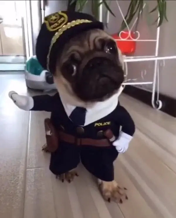 AdorableFun | Deadly Doll Pet Costume