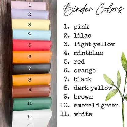 BudgetFriendly  Binder Book 100 Envelopes