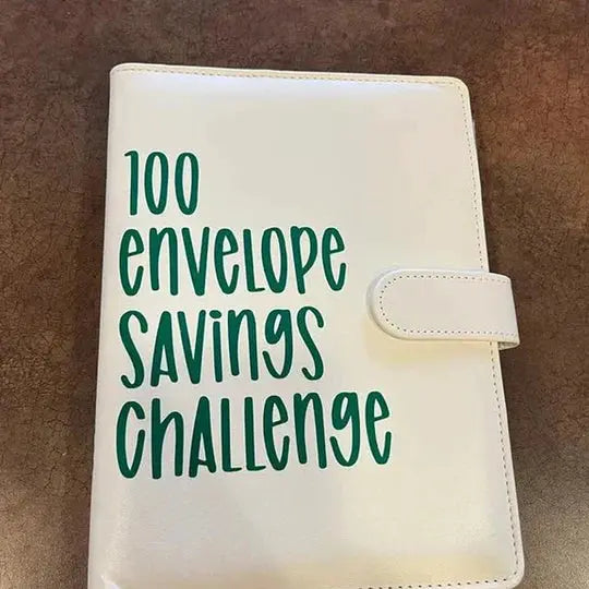 BudgetFriendly  Binder Book 100 Envelopes