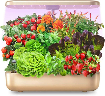 All Season Hydroponic Indoor Garden