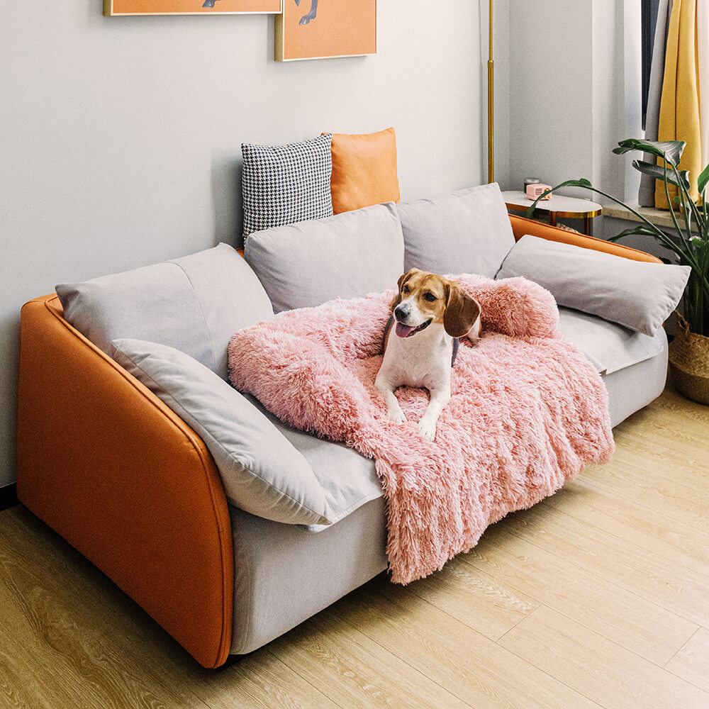 Calming Furniture Protector Dog Bed - Cozy Backrest