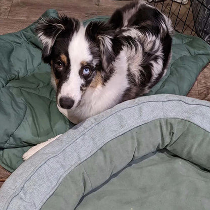 Leaf Shape Dog Blanket with Donut Dog Bed Luxury Dog Gifts