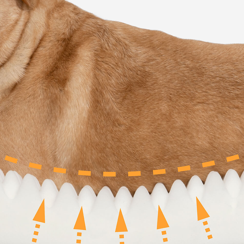 Leaf Shape Dog Blanket with Donut Dog Bed Luxury Dog Gifts