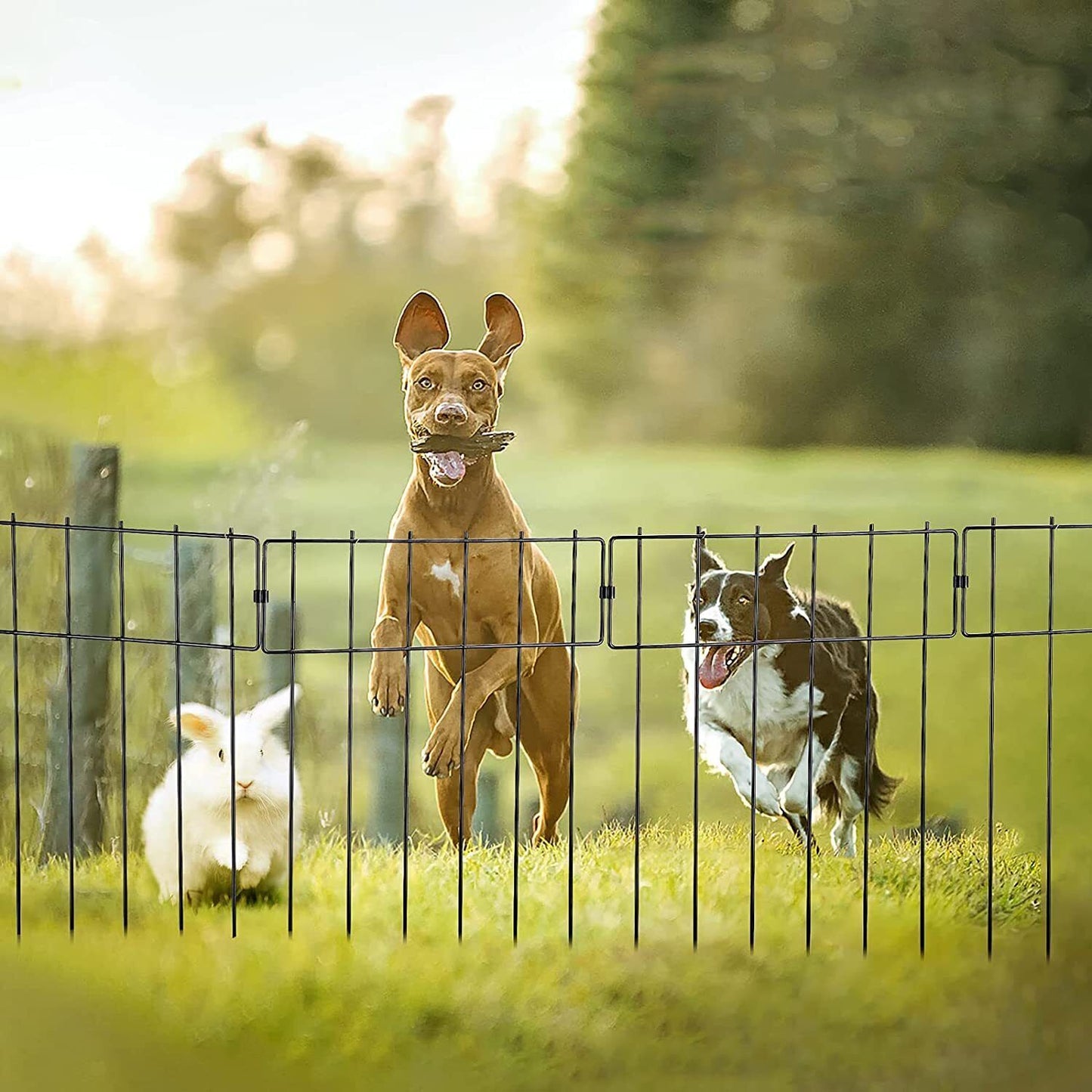 Heavy Duty Outdoor Garden Mounted Metal Dog Barrier Fence