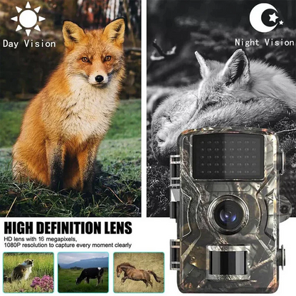 Night Vision Outdoor Wildlife Animal Camera | Ventayo