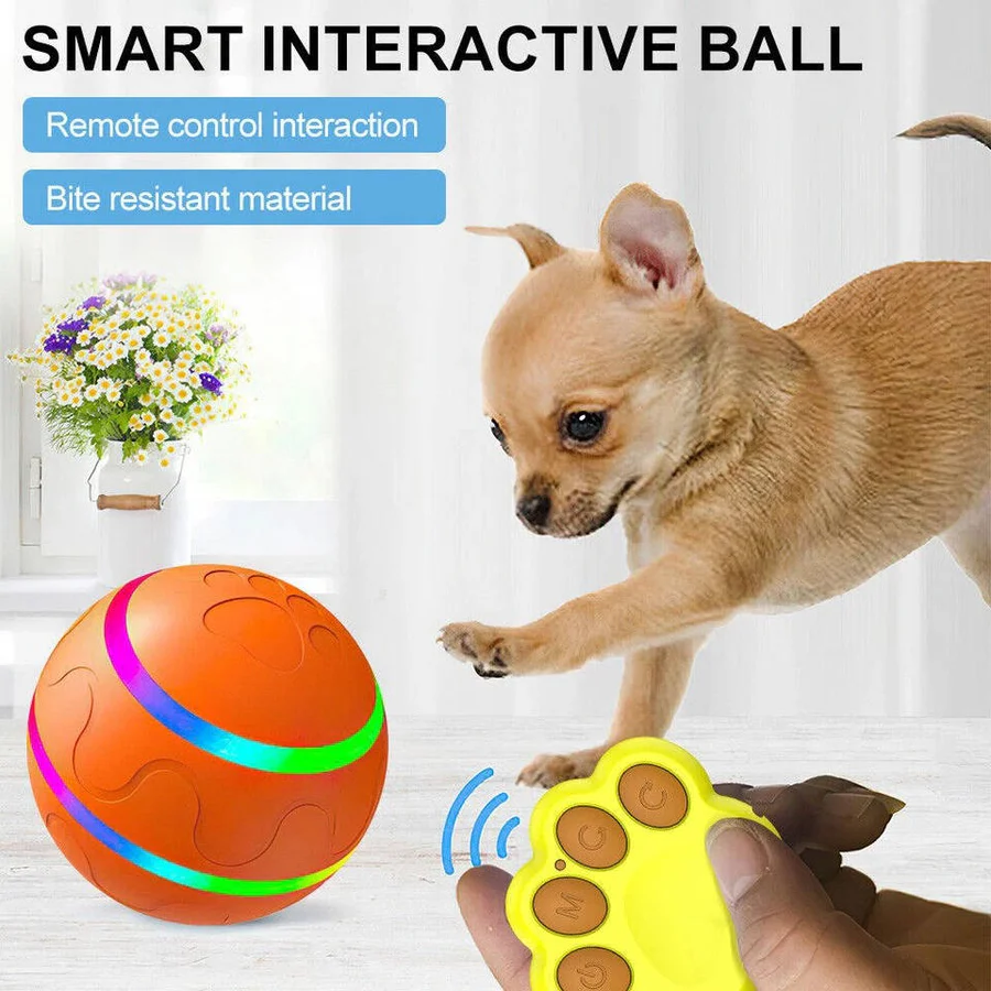 Dog and Cat Interactive Ball Toy – Self-Rolling Pet Toy for Indoor Fun