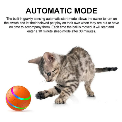 Dog and Cat Interactive Ball Toy – Self-Rolling Pet Toy for Indoor Fun