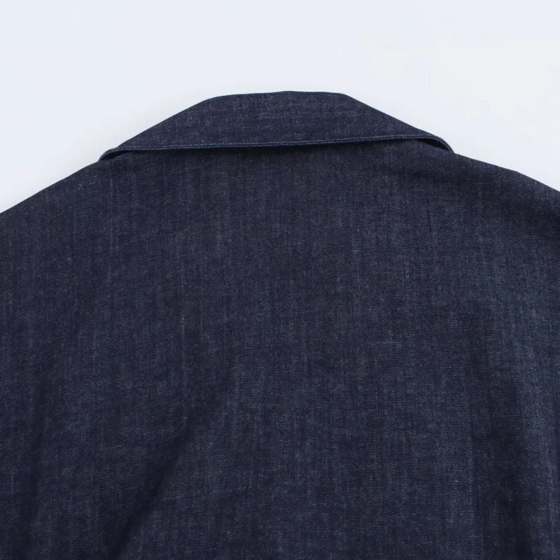 Women's Fitted button down Denim Dress