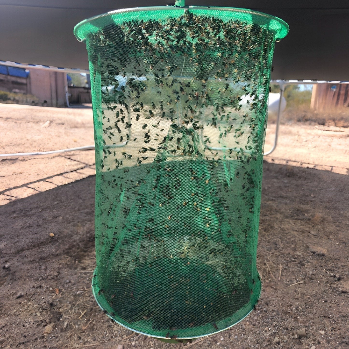 Reusable Stable Fly Trap – Outdoor Ranch & Barn Insect Catcher