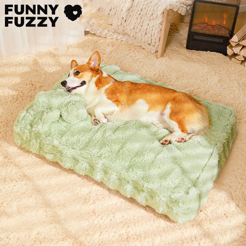 Cuddly, fluffy plush dog bed with pillow