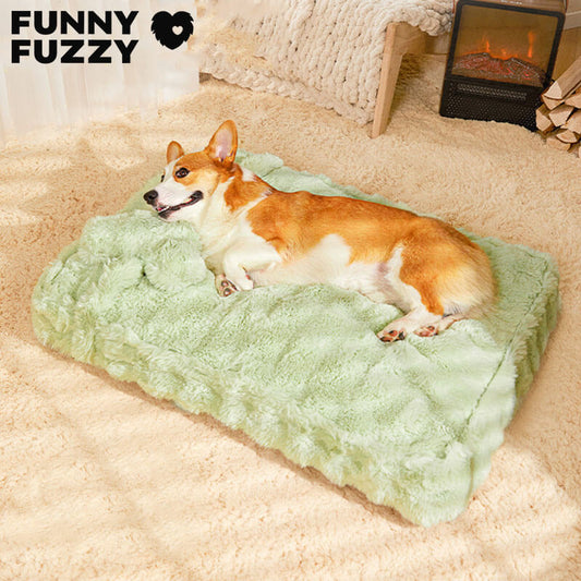 Cuddly, fluffy plush dog bed with pillow