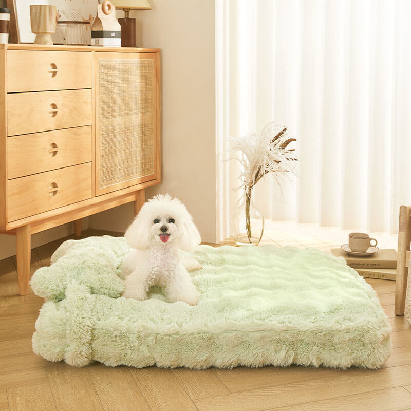 Cuddly, fluffy plush dog bed with pillow