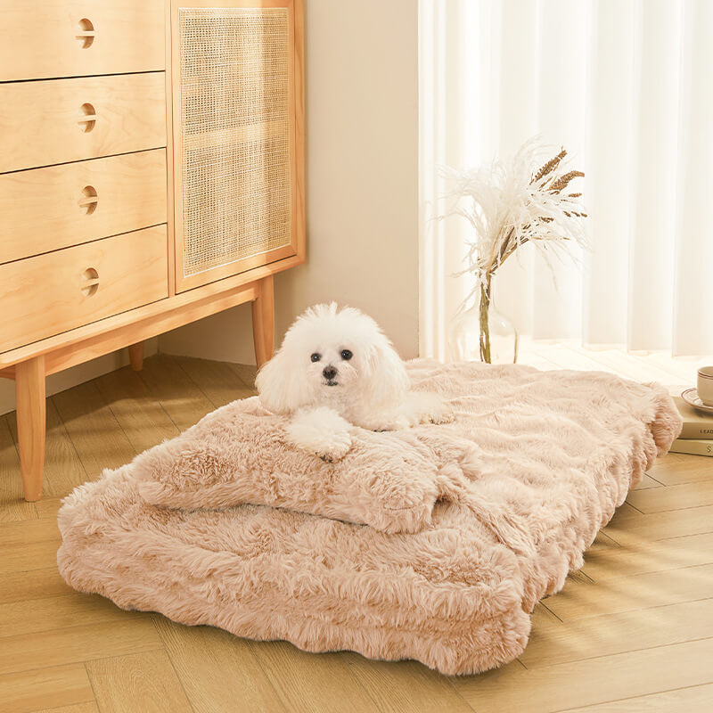 Cuddly, fluffy plush dog bed with pillow