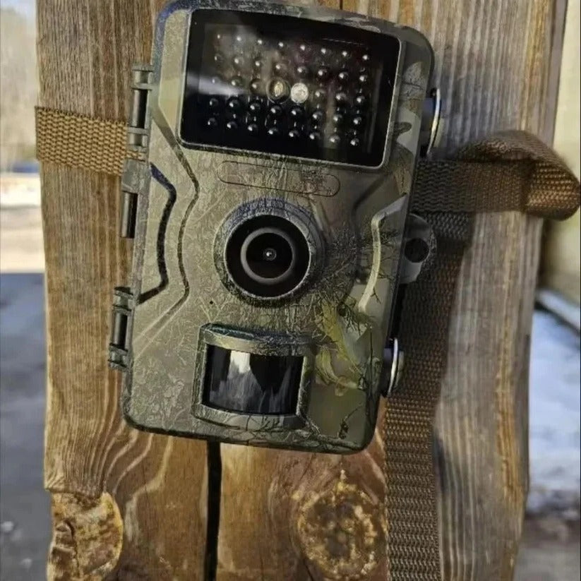 Night Vision Outdoor Wildlife Animal Camera | Ventayo