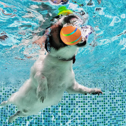 Dog and Cat Interactive Ball Toy – Self-Rolling Pet Toy for Indoor Fun