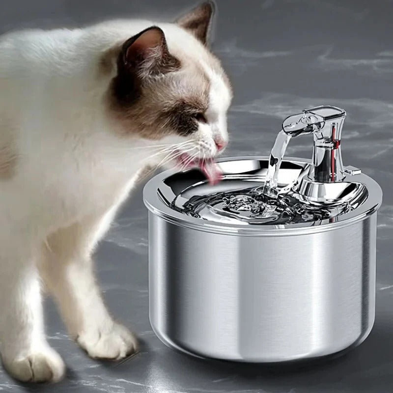 Cat Water Fountain with Motion Sensor – Stainless Steel Design with Filter Included
