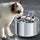 Cat Water Fountain with Motion Sensor – Stainless Steel Design with Filter Included