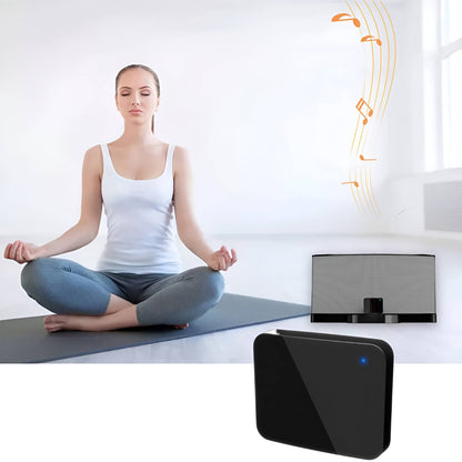 Wireless Audio Transmitter And Receiver System