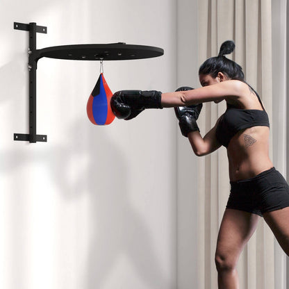 Wall Mount Speed Bag