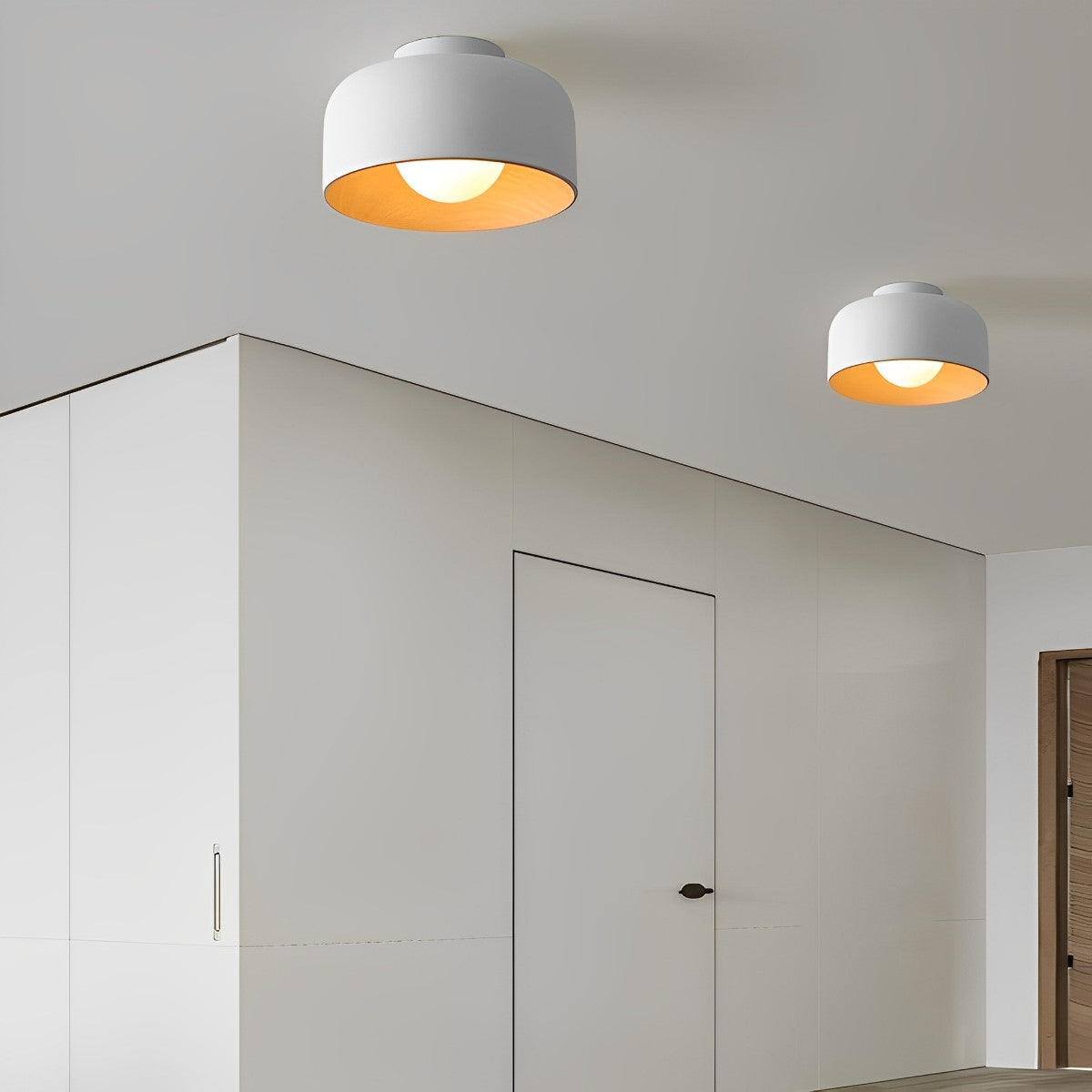 Minimalist Bowl LED Ceiling Light Flush Mount Lighting Chandelier