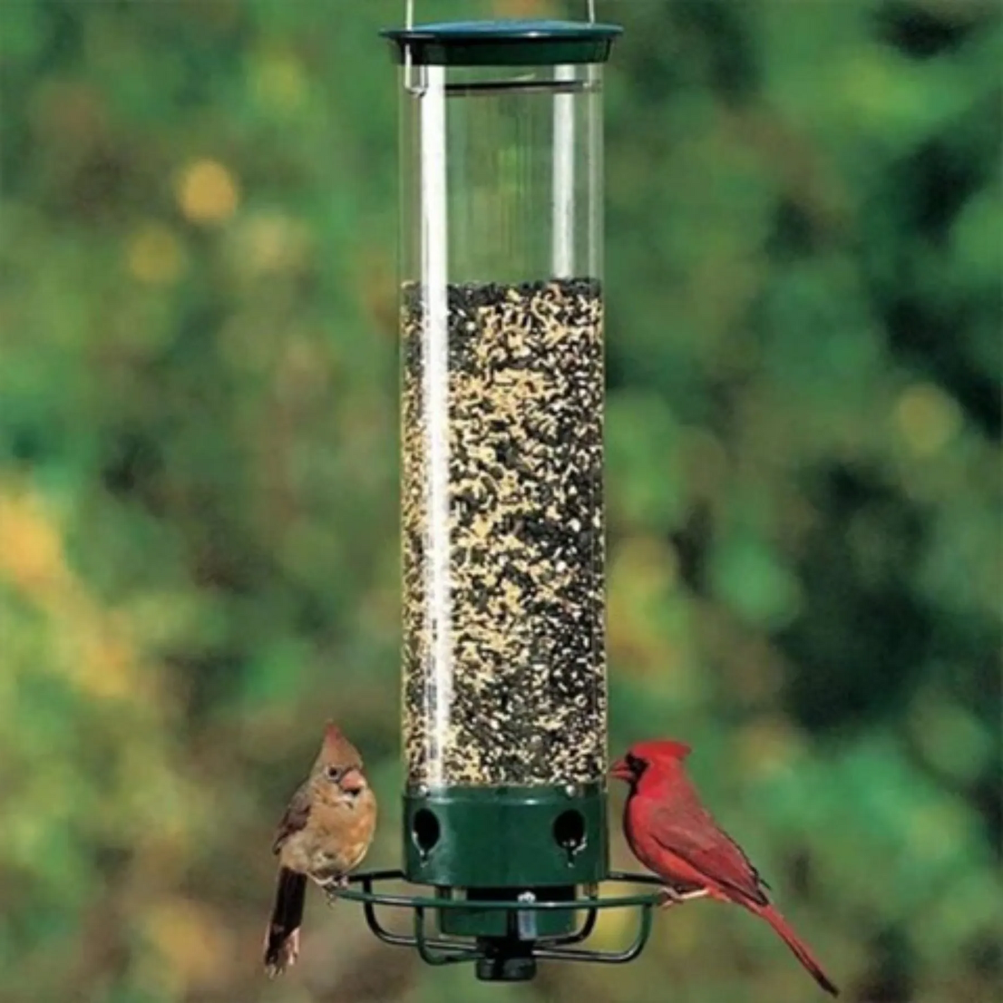 Squirrel-Proof Bird Feeder – Large Bird Friendly with Spinning Squirrel Repellent Action