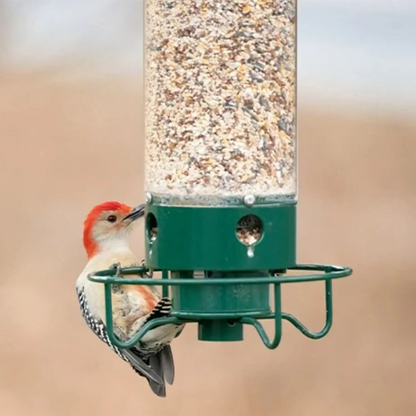 Squirrel-Proof Bird Feeder – Large Bird Friendly with Spinning Squirrel Repellent Action