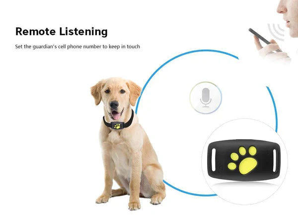 🐾 Cat GPS Tracker Locator Device – Real-Time Pet Tracking with No Monthly Fees