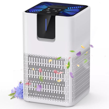 Large Room Air Purifier